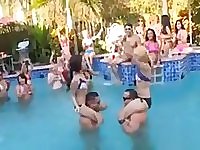 Bachlorette party goes wild