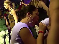 Shy amateur girls sucking cock in the disco